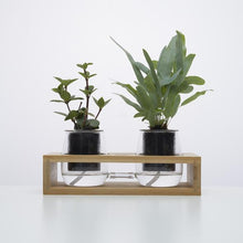 Load image into Gallery viewer, Lab 2 - Self Watering Pot Station

