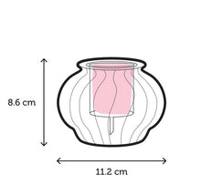 Load image into Gallery viewer, Self Watering Pot - Small Ribbed Design
