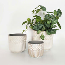 Load image into Gallery viewer, White Tuscan Planter
